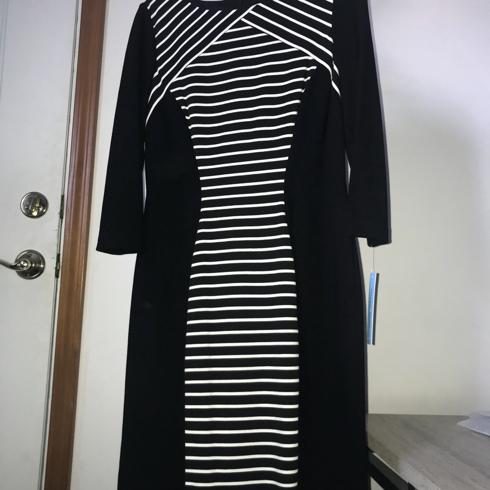 Antonio Melani Phoenix dress